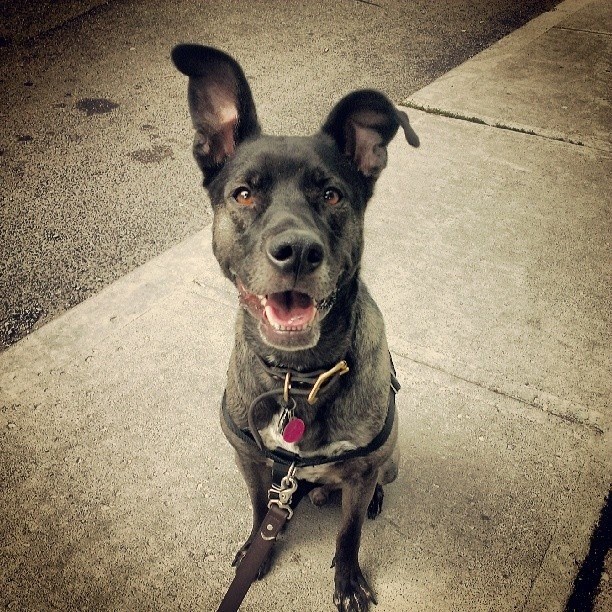 11870747_10155919783930323_1745161364890567924_n